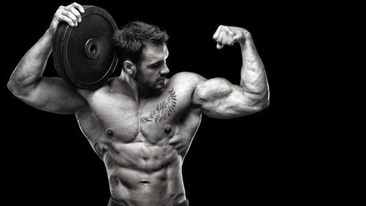 The Science of Strength: How to Build Muscle Like a Pro